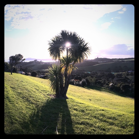 Meet your Posher, Abby - Picture 2 of 2